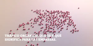 Lee más sobre el artículo Tráfico orgánico: qué es y qué significa para las empresas.