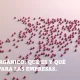 Tráfico orgánico: la audiencia | Content Marketing Latam